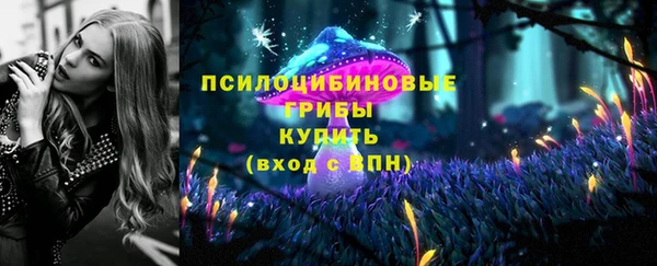 метамфетамин Алексеевка