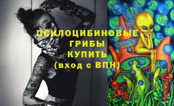 ГАЛЛЮЦИНОГЕННЫЕ ГРИБЫ Алзамай